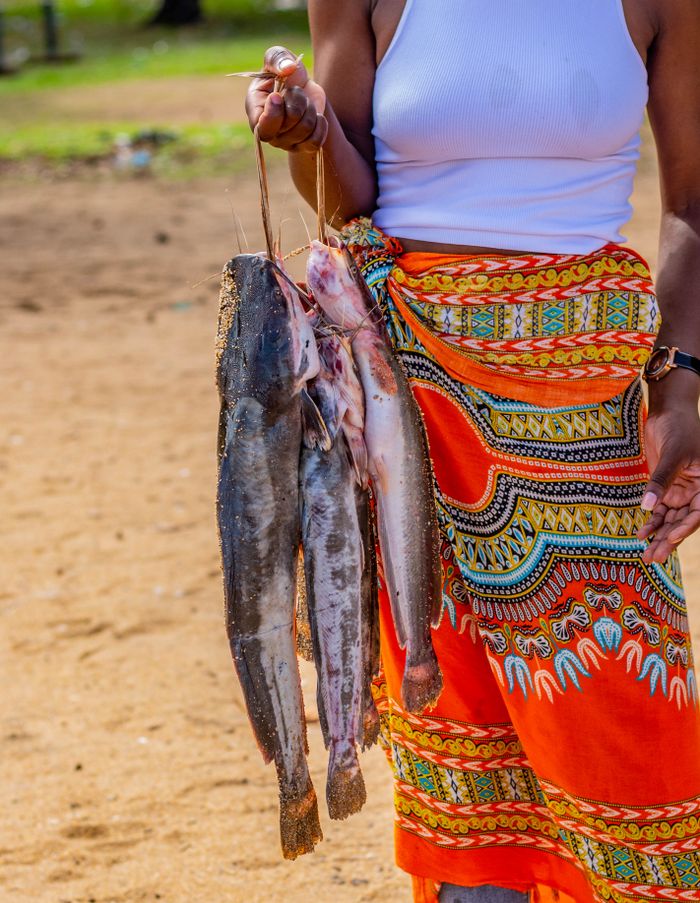 A woman holding a string of freshly caught catfish while wearing a colorful traditional wrap.